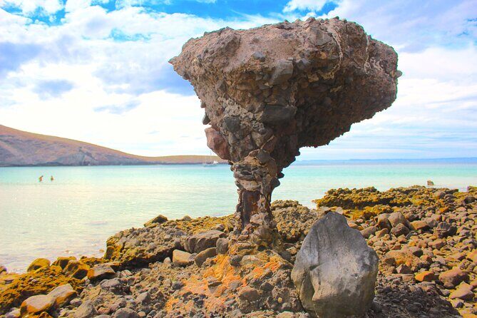 Playa Balandra with Beach Experience and La Paz Guided Tour! La Paz Round Trip - FAQs