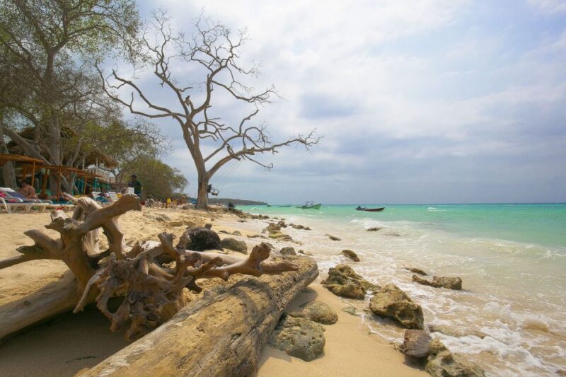 Playa Blanca Full-Day Trip From Cartagena - Customer Reviews