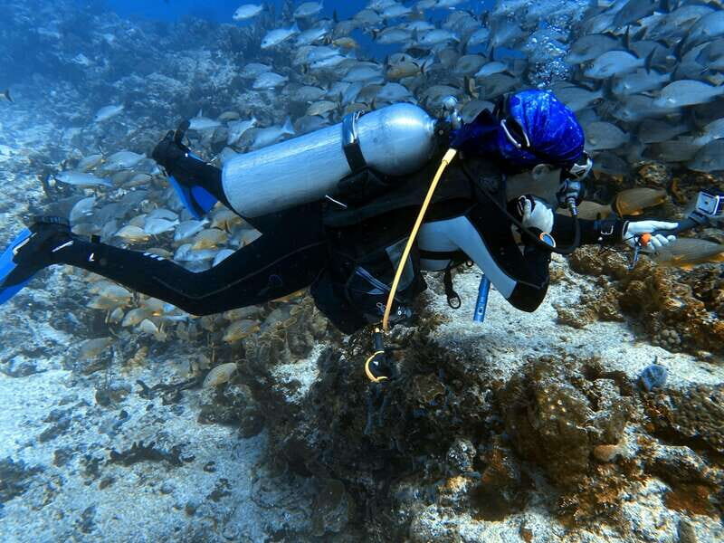 Playa del Carmen: 2-Tank Reef Dive - Practical Tips for Participants