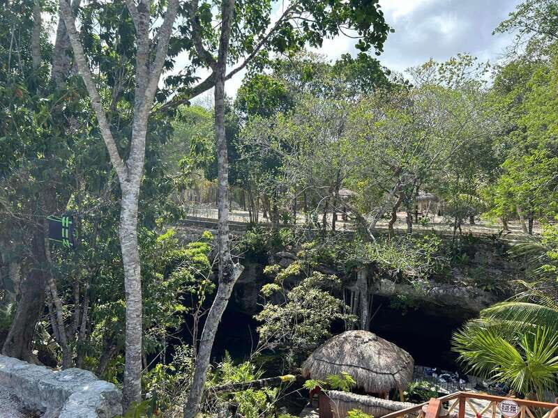 Playa del Carmen: 3 Cenotes & 1 Lagoon - Zenway Cenote: Relaxation and Scenic Views