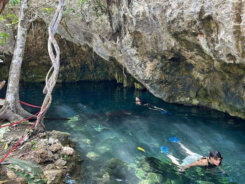 Playa del Carmen: 3 Cenotes & 1 Lagoon - The Expert Guide and Small Group Setting