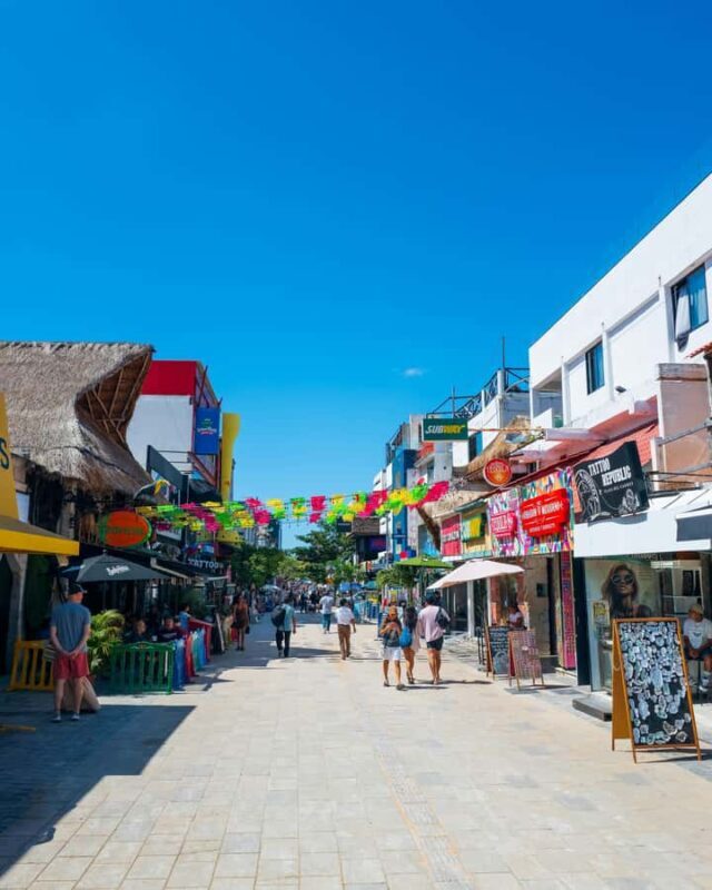 Playa del Carmen: A Sensory Tour Through Mexico's Culinary Memory - Key Points