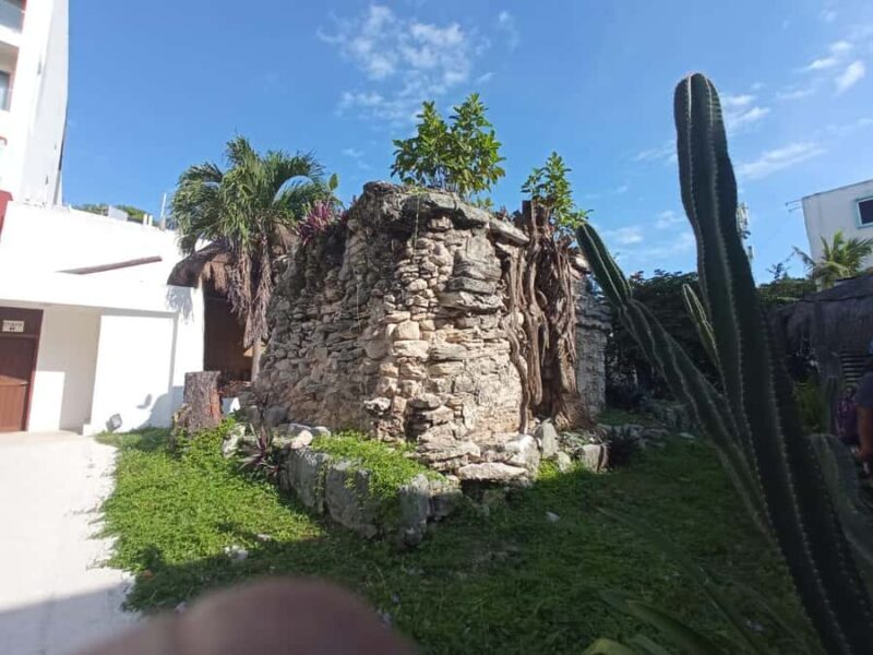 Playa del Carmen: A Sensory Tour Through Mexico's Culinary Memory - An In-Depth Look at the Tour Experience