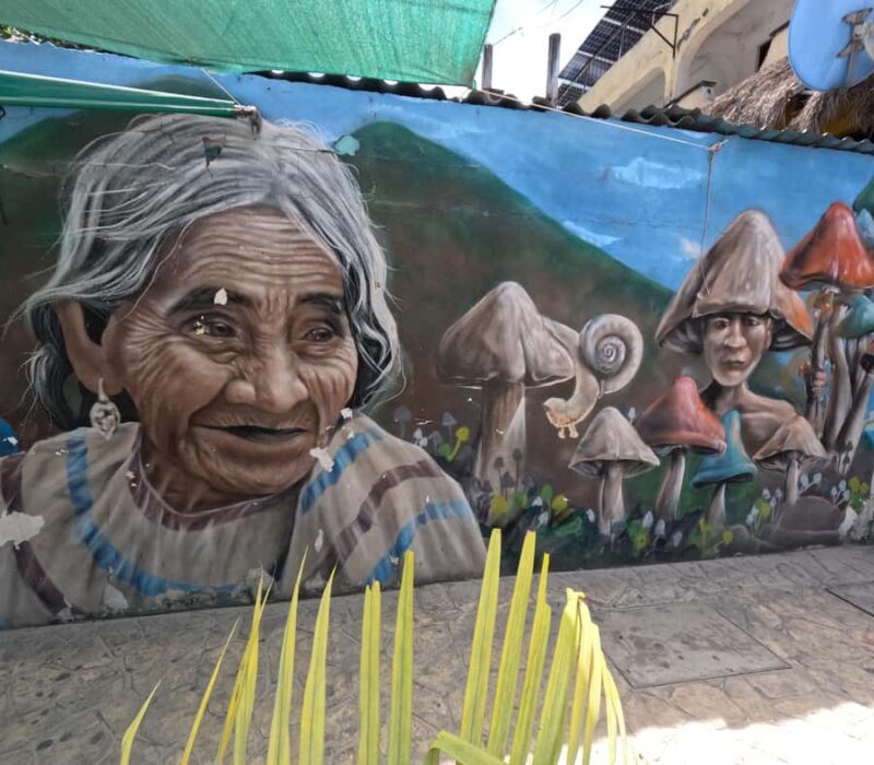 Playa del Carmen: A Sensory Tour Through Mexico's Culinary Memory - Practical Details