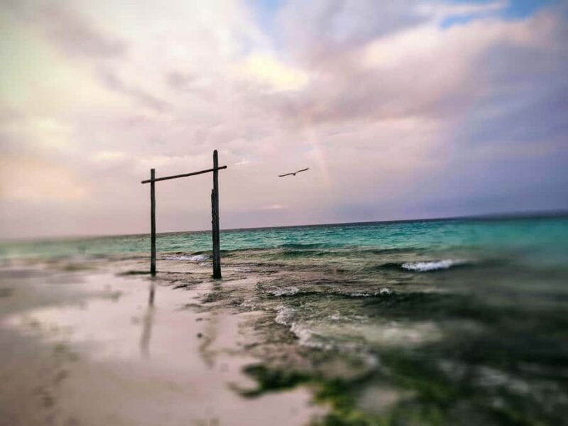 Playa del Carmen: A Sensory Tour Through Mexico's Culinary Memory - Who Will Enjoy It Most?