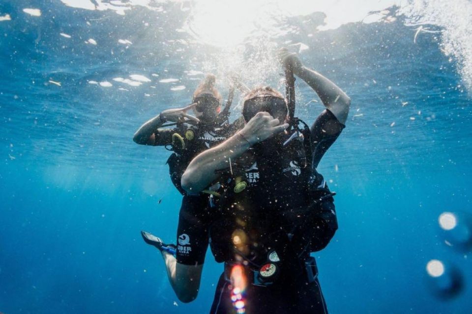 Playa Del Carmen: Bull Shark Diving Experience - Gear, Snacks, and Towel Included