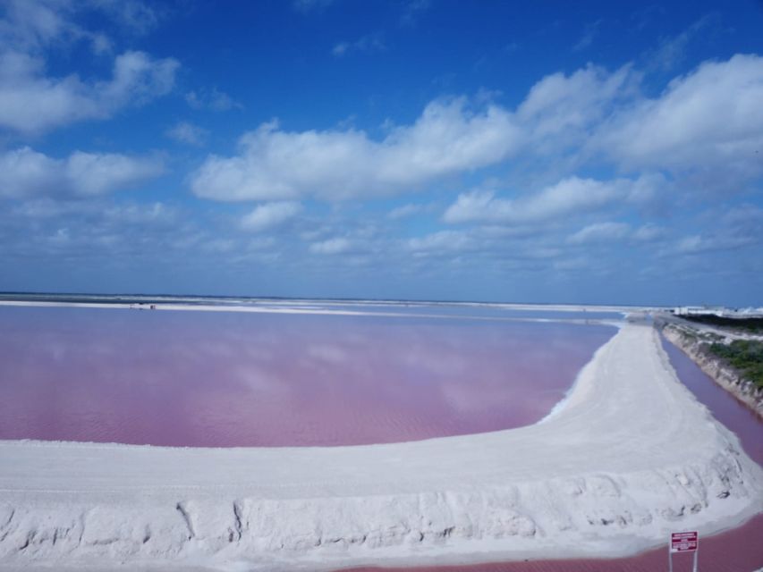 Playa Del Carmen/Cancún: Rio Lagartos & Las Coloradas Tour - Frequently Asked Questions