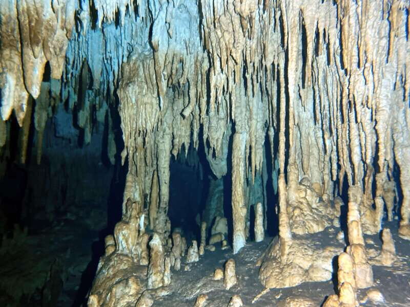 Playa del Carmen: Cenote Diving Experience - Exploring the Cenote Diving Experience