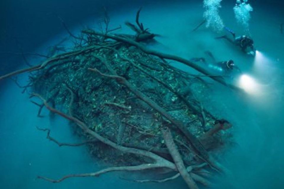 Playa Del Carmen: Chac Mool Cenote Dive - Key Points