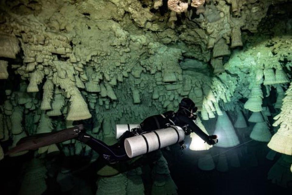 Playa Del Carmen: Chac Mool Cenote Dive - Price and Booking