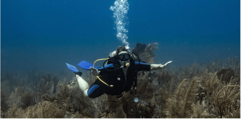 Playa del Carmen: Discover Scuba Diving - Key Points