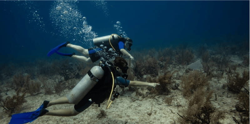 Playa del Carmen: Discover Scuba Diving - An In-Depth Look at the Playa del Carmen Discover Scuba Tour
