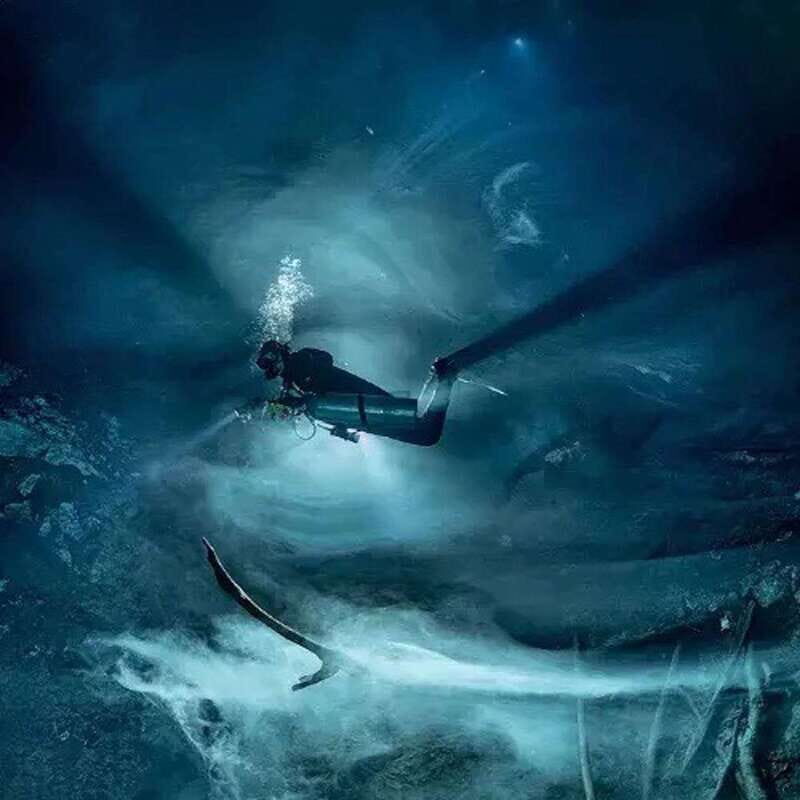 Playa del Carmen: Dive Cenote Chac Mool - Unpacking the Experience: What Makes This Tour Special