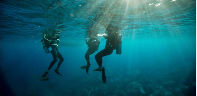 Playa del Carmen: Divemaster Course - FAQ