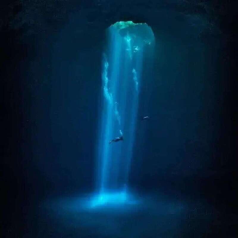 Playa del Carmen: Diving in Cenotes The Pit and Dos Ojos - The Day in Detail