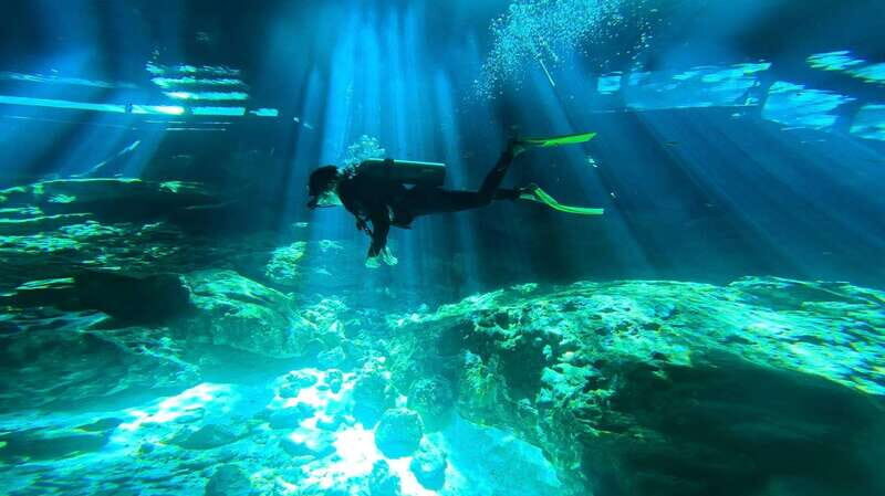 Playa del Carmen: Dos Ojos Cenote 2 scuba dives without tran - Pricing and What You’re Paying For