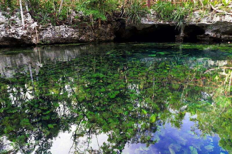 Playa del Carmen: Dual Realm Diving (Cenote + Reef Diving) - Key Points