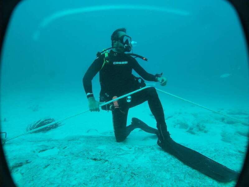 Playa del Carmen: Dual Realm Diving (Cenote + Reef Diving) - FAQ