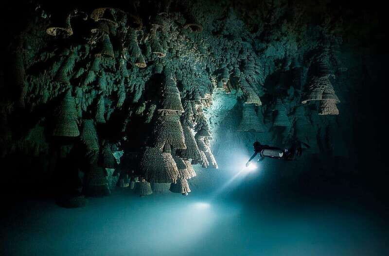 Playa del Carmen: Explore the Surreal World of Cenote Diving - What Makes This Cenote Tour Special?