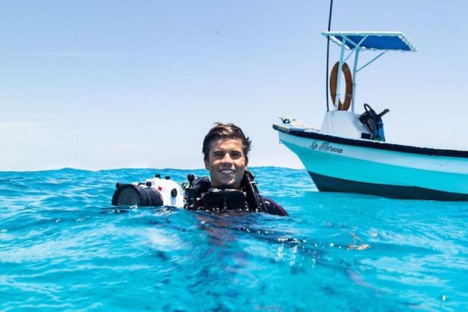 Playa Del Carmen: Fun Dive Experience for Certified Divers - Key Points