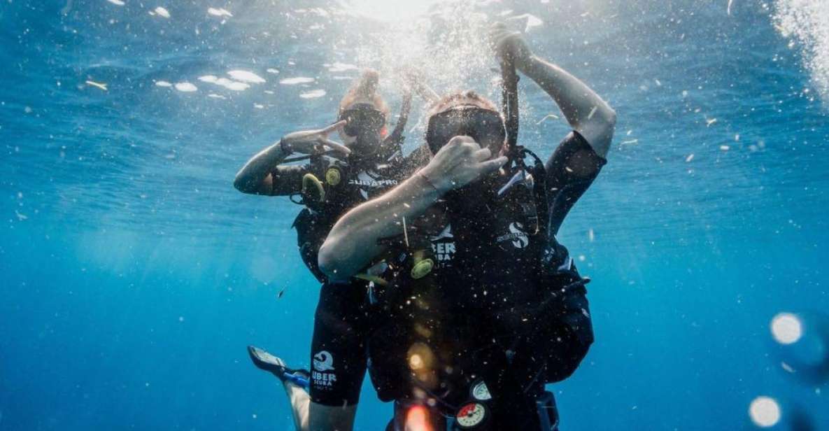 Playa Del Carmen: Fun Dive Experience for Certified Divers - Frequently Asked Questions