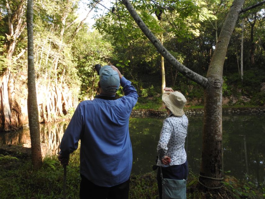 Playa Del Carmen: Guided Birdwatching Hike - Restrictions