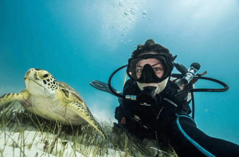 Playa del Carmen: Guided Reef Diving for Certified Divers - Key Points