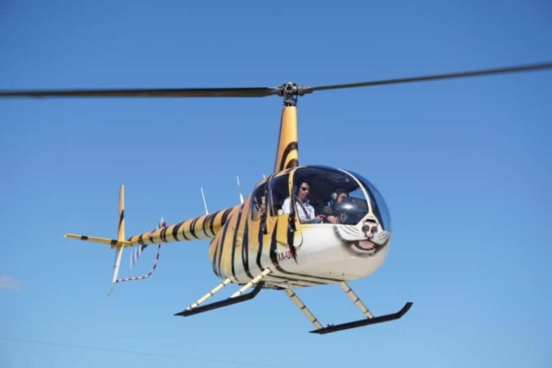 Playa del Carmen: Helicopter Tour - The Experience in Detail