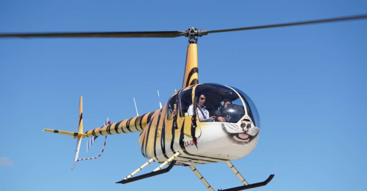Playa Del Carmen: Helicopter Tour - Key Points