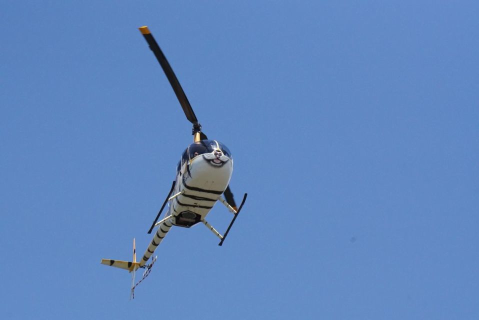 Playa Del Carmen: Helicopter Tour - Knowledgeable Pilot and Commentary