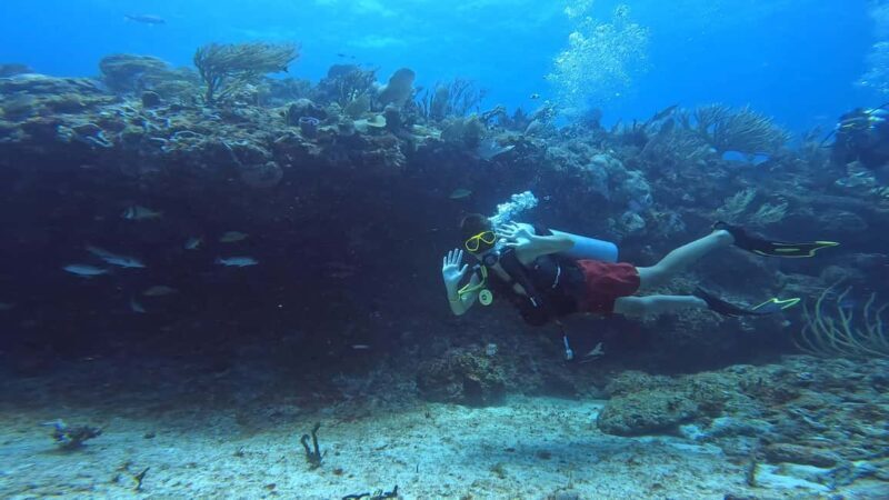 Playa del Carmen: Introductory Scuba Diving at Coral Reefs - A Deep Dive into the Experience