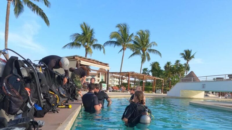 Playa del Carmen: Introductory Scuba Diving at Coral Reefs - Final Thoughts