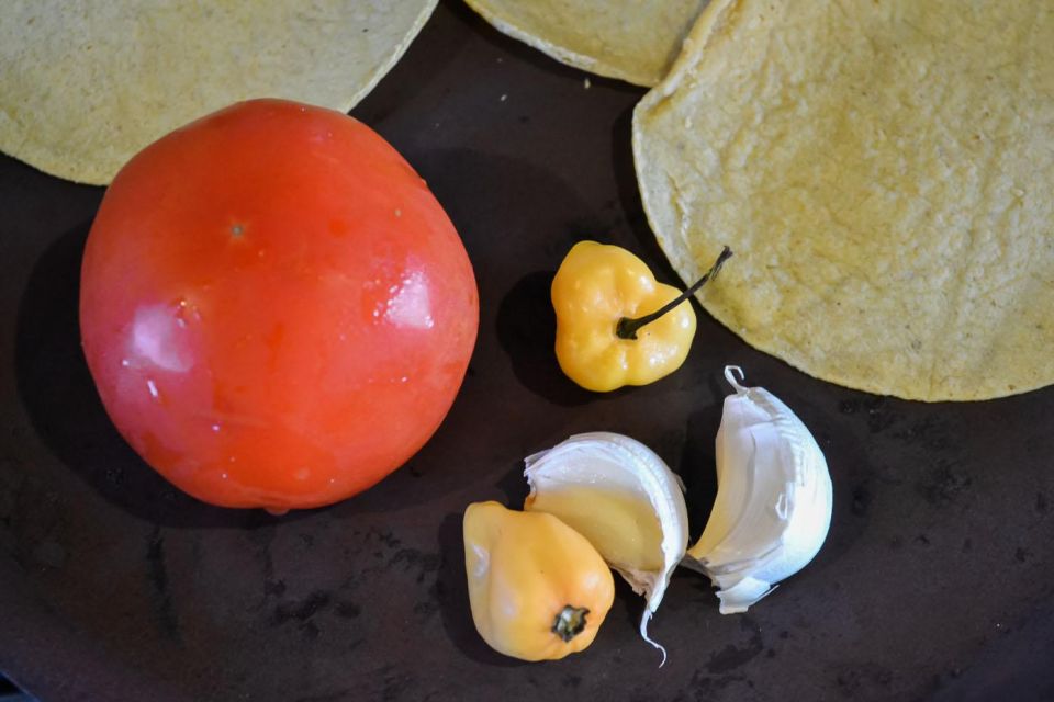 Playa Del Carmen: Isa's Authentic Mexican Cooking Class - Key Points