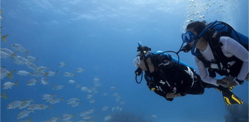 Playa del Carmen: Ocean Dive Tour - An Overview of the Playa del Carmen Ocean Dive Tour