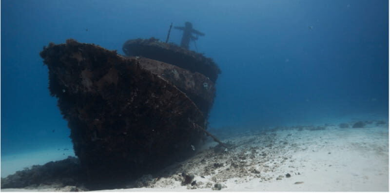 Playa del Carmen: Ocean Dive Tour - What the Reviews Say
