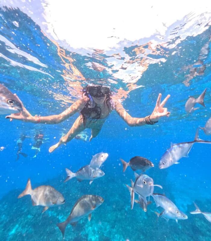 Playa del Carmen: On Board to Cozumel Tour with Lunch - The Practical Side: What You Need to Know