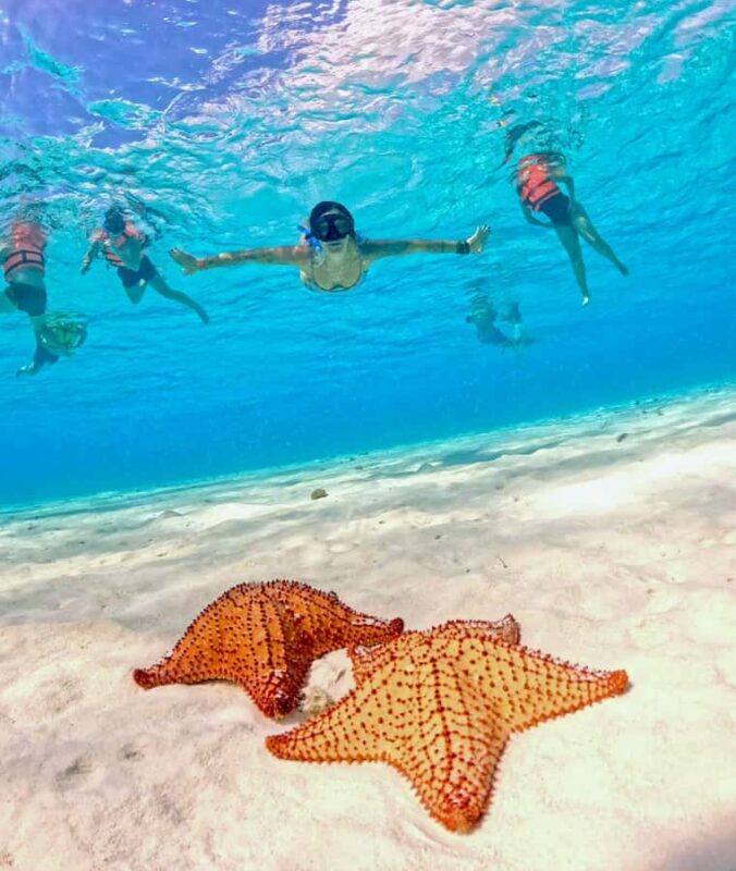 Playa del Carmen: On Board to Cozumel Tour with Lunch - Who Should Consider This Tour?