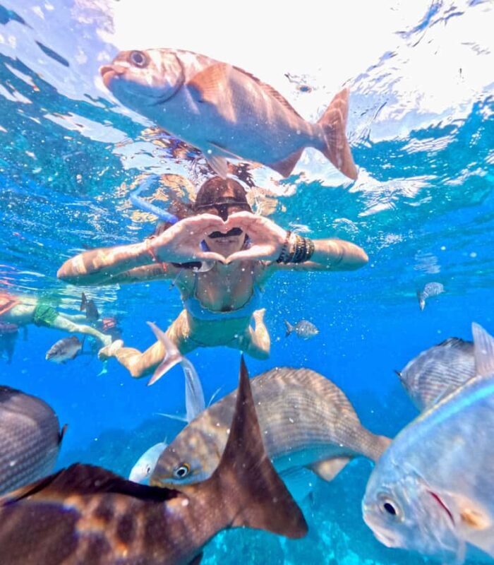 Playa del Carmen: On Board to Cozumel Tour with Lunch - FAQs