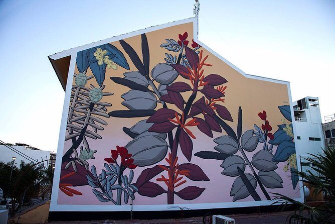 Playa del Carmen Private Street Art Tour - Key Points