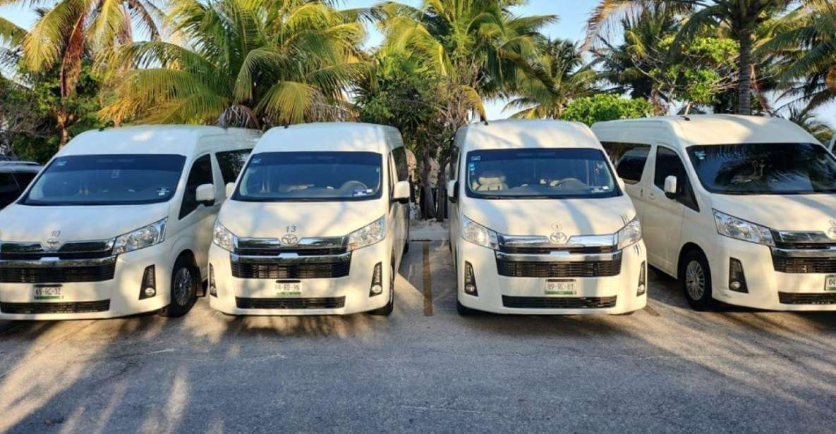 Playa Del Carmen: Private Transportation to Holbox Island - Key Points