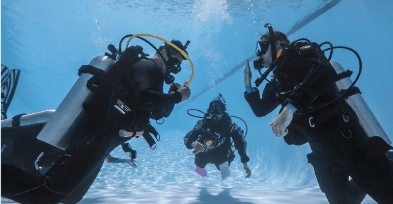 Playa del Carmen: Rescue Diver Course - Frequently Asked Questions