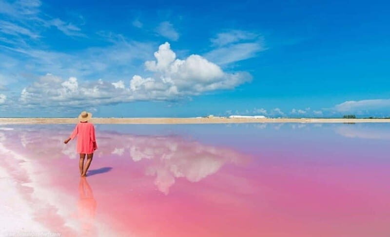 Playa del Carmen: Rio Lagartos and Las Coloradas Tour - The Sum Up