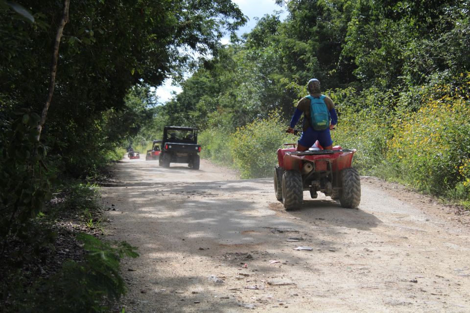 Playa Del Carmen: Riviera Maya Buggy Tour With Cenote Swim - Guided Tour Languages