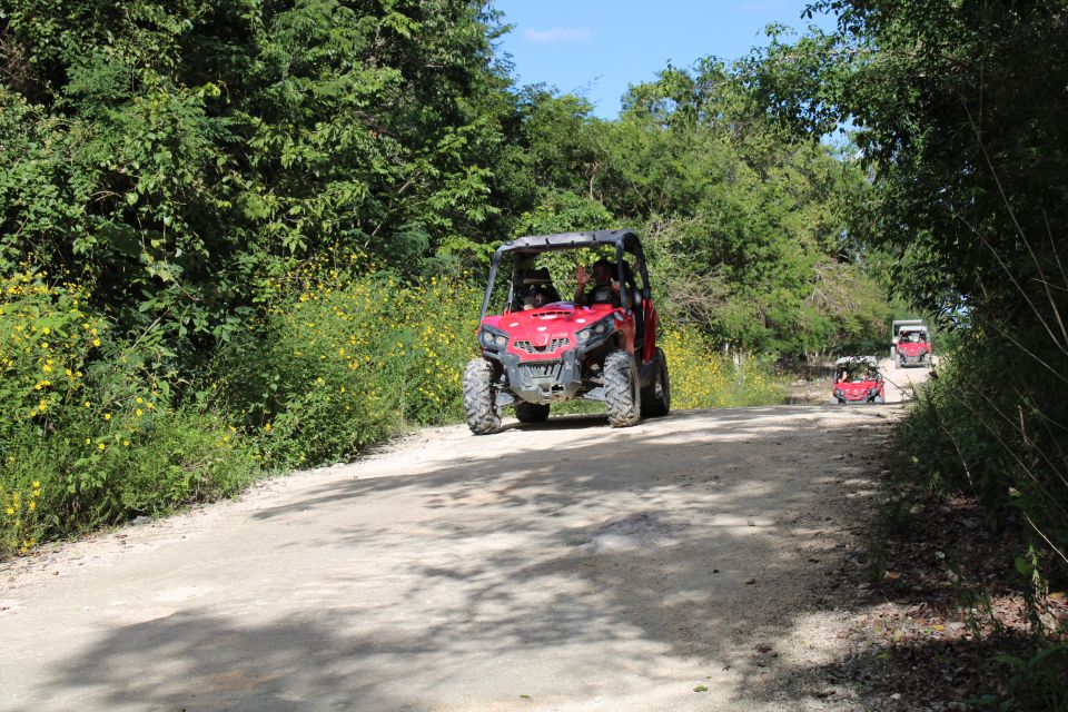 Playa Del Carmen: Riviera Maya Buggy Tour With Cenote Swim - Dune Buggy Rental