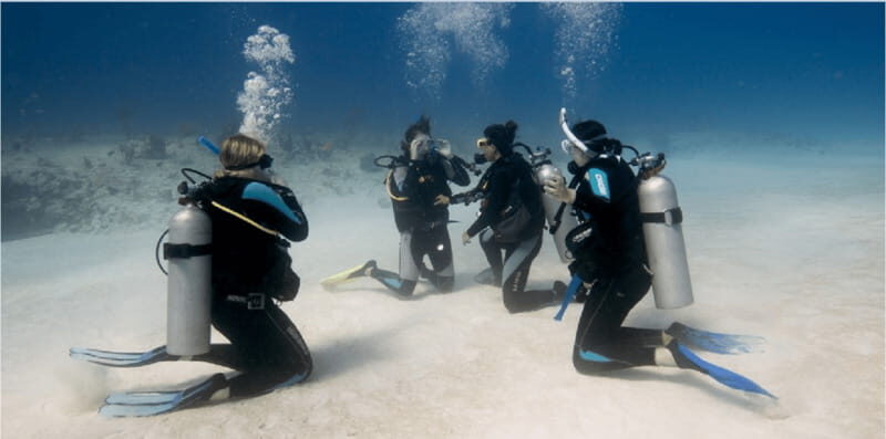 Playa del Carmen: Scuba Diver Certification Course - Key Points