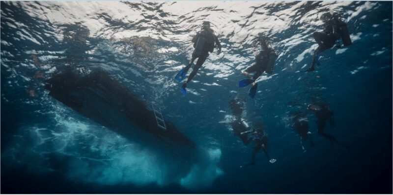 Playa del Carmen: Scuba Diver Certification Course - Who Will Love This Course?
