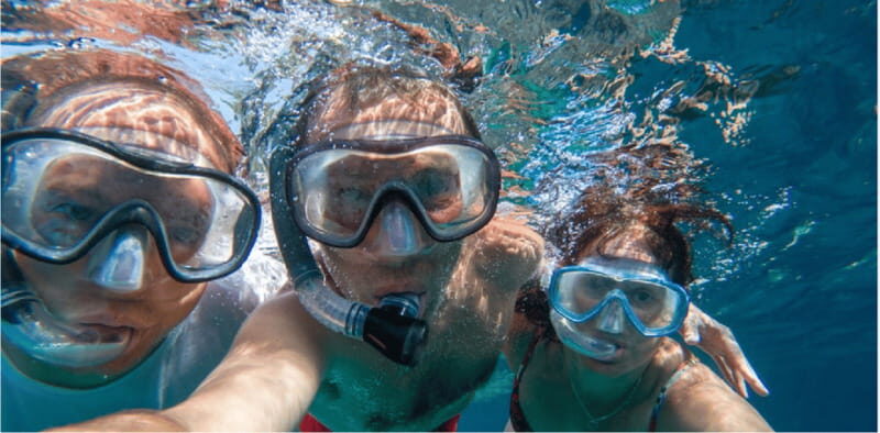Playa del Carmen: Snorkel Tour at Local Reef - What to Expect: A Closer Look at the Tour