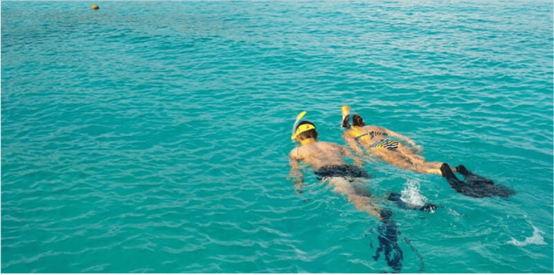 Playa del Carmen: Snorkel Tour at Local Reef - The Value of This Tour