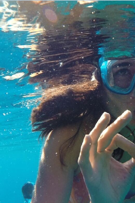 Playa del Carmen: Snorkel Tour at Local Reef - Who Should Book This Tour?