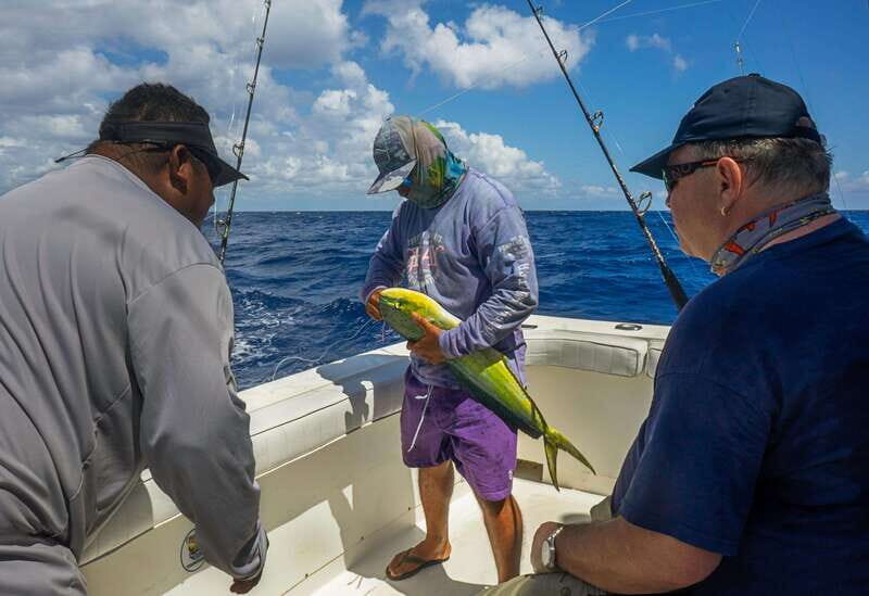 Playa del Carmen: Spectacular Fishing Experience - 38ft boat - FAQs